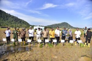 Skema Padat Karya dan Rehabilitasi Sawah Dipercepat untuk Pulihkan Penghidupan Pascabencana