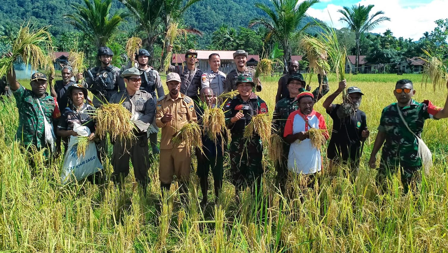 Program Ketahanan Pangan di Papua Dapat Respon Positif Dari Masyarakat Lokal