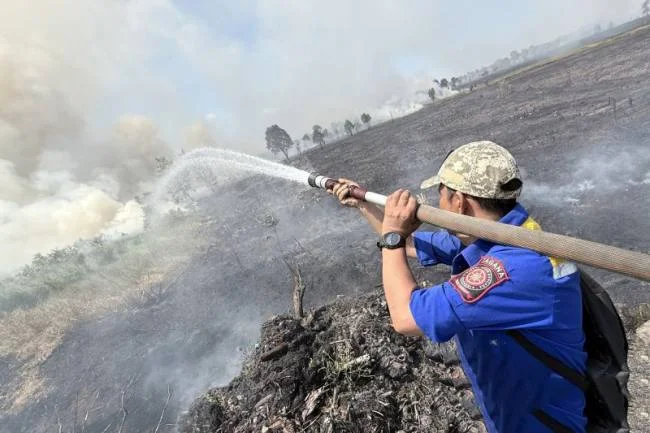 Safe House dan Shelter Karhutla Menjadi Pelindung bagi Warga yang Rentan